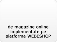 Portofoliu de magazine online