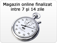 Termen de realizare magazin online