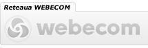 Solutii comert electronic