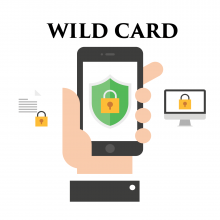 Certificat Globalsign WildCard SSL + mentenanta